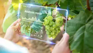 FAO: &Psi;&eta;&phi;&iota;&alpha;&kappa;ό &epsilon;&rho;&gamma;&alpha;&lambda;&epsilon;ί&omicron; &kappa;&alpha;&tau;&epsilon;&upsilon;&theta;ύ&nu;&epsilon;&iota; &tau;&omicron;&upsilon;&sigmaf; &alpha;&gamma;&rho;ό&tau;&epsilon;&sigmaf; &nu;&alpha; &kappa;&alpha;&lambda;&lambda;&iota;&epsilon;&rho;&gamma;&omicron;ύ&nu; &sigma;&omega;&sigma;&tau;ά &kappa;&alpha;&iota; &sigma;&tau;&alpha; &kappa;&alpha;&tau;ά&lambda;&lambda;&eta;&lambda;&alpha; &mu;έ&rho;&eta; &ndash; &Omicron;&iota;&kappa;&omicron;&nu;&omicron;&mu;&iota;&kappa;ό&sigmaf; &Tau;&alpha;&chi;&upsilon;&delta;&rho;ό&mu;&omicron;&sigmaf; &ndash; ot.gr