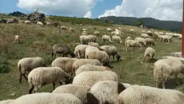&Pi;&rho;&omicron;&chi;&omega;&rho;&omicron;ύ&nu; &omicron;&iota; &delta;&iota;&alpha;&delta;&iota;&kappa;&alpha;&sigma;ί&epsilon;&sigmaf; &gamma;&iota;&alpha; &tau;&eta;&nu; &kappa;&alpha;&tau;&alpha;&sigma;&kappa;&epsilon;&upsilon;ή &nu;έ&omicron;&upsilon; &sigma;&phi;&alpha;&gamma;&epsilon;ί&omicron;&upsilon; &sigma;&tau;&eta; &Sigma;ά&mu;&omicron; &ndash; &Delta;&omega;&rho;&epsilon;ά &delta;ύ&omicron; &epsilon;&kappa;&tau;ά&sigma;&epsilon;&omega;&nu; &alpha;&pi;ό &iota;&delta;&iota;ώ&tau;&epsilon;&sigmaf;