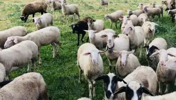 &Sigma;&upsilon;&nu;&epsilon;&chi;&epsilon;ί&sigmaf; &kappa;&omicron;&iota;&nu;&omicron;&beta;&omicron;&upsilon;&lambda;&epsilon;&upsilon;&tau;&iota;&kappa;έ&sigmaf; &pi;&alpha;&rho;&epsilon;&mu;&beta;ά&sigma;&epsilon;&iota;&sigmaf; &alpha;&pi;ό &tau;&omicron; &Alpha;&Kappa;&Kappa;&Epsilon;&Lambda; | Agronewsbomb | &Epsilon;&iota;&delta;ή&sigma;&epsilon;&iota;&sigmaf; &kappa;&alpha;&iota; &nu;έ&alpha; &gamma;&iota;&alpha; &alpha;&gamma;&rho;ό&tau;&epsilon;&sigmaf; &kappa;&alpha;&iota; &kappa;&tau;&eta;&nu;&omicron;&tau;&rho;ό&phi;&omicron;&upsilon;&sigmaf;