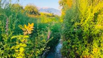 &Tau;&sigma;ά&phi;&omicron;&sigmaf; &sigma;&epsilon; &Kappa;ό&kappa;&kappa;&alpha;&lambda;&eta; &gamma;&iota;&alpha; &alpha;&gamma;&rho;&omicron;&tau;&iota;&kappa;ό &rho;&epsilon;ύ&mu;&alpha;: &Theta;&alpha; &beta;&rho;&omicron;ύ&mu;&epsilon; &tau;&iota;&sigmaf; &lambda;ύ&sigma;&epsilon;&iota;&sigmaf; ό&tau;&alpha;&nu; &chi;&rho;&epsilon;&iota;ά&zeta;&omicron;&nu;&tau;&alpha;&iota; &kappa;&alpha;&iota; ό&pi;&omicron;&iota;&epsilon;&sigmaf; &chi;&rho;&epsilon;&iota;ά&zeta;&omicron;&nu;&tau;&alpha;&iota; | Agronewsbomb | &Epsilon;&iota;&delta;ή&sigma;&epsilon;&iota;&sigmaf; &kappa;&alpha;&iota; &nu;έ&alpha; &gamma;&iota;&alpha; &alpha;&gamma;&rho;ό&tau;&epsilon;&sigmaf; &kappa;&alpha;&iota; &kappa;&tau;&eta;&nu;&omicron;&tau;&rho;ό&phi;&omicron;&upsilon;&sigmaf;