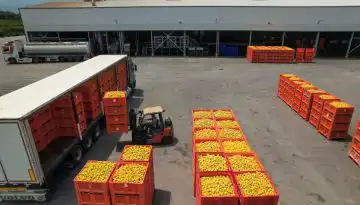 Ά&lambda;&mu;&alpha; 20,9% &sigma;&tau;&iota;&sigmaf; &epsilon;&lambda;&lambda;&eta;&nu;&iota;&kappa;έ&sigmaf; &epsilon;&xi;&alpha;&gamma;&omega;&gamma;έ&sigmaf; &tau;&omicron;&nu; &Mu;ά&iota;&omicron; &ndash; &Epsilon;&nu;&iota;&sigma;&chi;ύ&epsilon;&tau;&alpha;&iota; &eta; &epsilon;&xi;&omega;&sigma;&tau;&rho;έ&phi;&epsilon;&iota;&alpha; &tau;&eta;&sigmaf; &omicron;&iota;&kappa;&omicron;&nu;&omicron;&mu;ί&alpha;&sigmaf; &bull; &Theta;&epsilon;&sigma;&sigma;&alpha;&lambda;&iota;&kappa;ή &Gamma;&eta; &bull; &Tau;&alpha; &Alpha;&gamma;&rho;&omicron;&tau;&iota;&kappa;ά &Nu;έ&alpha; &tau;&eta;&sigmaf; &Theta;&epsilon;&sigma;&sigma;&alpha;&lambda;ί&alpha;&sigmaf;