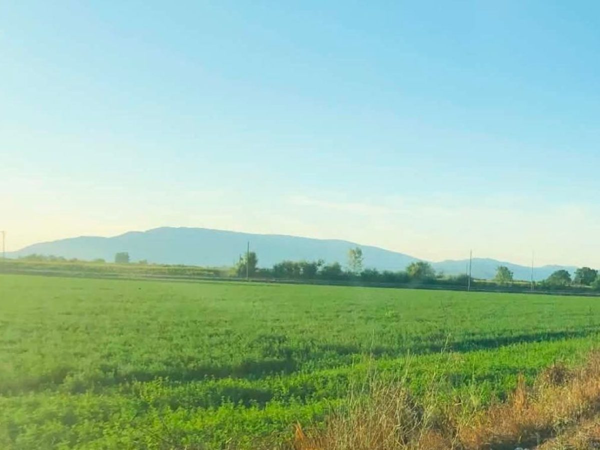&Pi;&iota;&theta;&alpha;&nu;ό&tau;&eta;&tau;&epsilon;&sigmaf; έ&nu;&tau;&alpha;&xi;&eta;&sigmaf; &tau;&eta;&sigmaf; &Beta;&omicron;&iota;&omega;&tau;ί&alpha;&sigmaf; &gamma;&iota;&alpha; &epsilon;&nu;ί&sigma;&chi;&upsilon;&sigma;&eta; &mu;&eta;&delta;&iota;&kappa;ή&sigmaf; &mu;ό&nu;&omicron; &sigma;&epsilon; &epsilon;&pi;ό&mu;&epsilon;&nu;&alpha; &pi;&rho;&omicron;&gamma;&rho;ά&mu;&mu;&alpha;&tau;&alpha; | Agronewsbomb | &Epsilon;&iota;&delta;ή&sigma;&epsilon;&iota;&sigmaf; &kappa;&alpha;&iota; &nu;έ&alpha; &gamma;&iota;&alpha; &alpha;&gamma;&rho;ό&tau;&epsilon;&sigmaf; &kappa;&alpha;&iota; &kappa;&tau;&eta;&nu;&omicron;&tau;&rho;ό&phi;&omicron;&upsilon;&sigmaf;