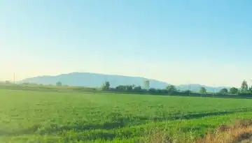 &Pi;&iota;&theta;&alpha;&nu;ό&tau;&eta;&tau;&epsilon;&sigmaf; έ&nu;&tau;&alpha;&xi;&eta;&sigmaf; &tau;&eta;&sigmaf; &Beta;&omicron;&iota;&omega;&tau;ί&alpha;&sigmaf; &gamma;&iota;&alpha; &epsilon;&nu;ί&sigma;&chi;&upsilon;&sigma;&eta; &mu;&eta;&delta;&iota;&kappa;ή&sigmaf; &mu;ό&nu;&omicron; &sigma;&epsilon; &epsilon;&pi;ό&mu;&epsilon;&nu;&alpha; &pi;&rho;&omicron;&gamma;&rho;ά&mu;&mu;&alpha;&tau;&alpha; | Agronewsbomb | &Epsilon;&iota;&delta;ή&sigma;&epsilon;&iota;&sigmaf; &kappa;&alpha;&iota; &nu;έ&alpha; &gamma;&iota;&alpha; &alpha;&gamma;&rho;ό&tau;&epsilon;&sigmaf; &kappa;&alpha;&iota; &kappa;&tau;&eta;&nu;&omicron;&tau;&rho;ό&phi;&omicron;&upsilon;&sigmaf;