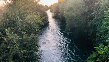 &Pi;&rho;&omicron; &tau;&omega;&nu; &pi;&upsilon;&lambda;ώ&nu; &nu;έ&alpha; &pi;&lambda;&eta;&rho;&omega;&mu;ή, &nu;έ&alpha; &alpha;&pi;ό&phi;&alpha;&sigma;&eta; &sigma;&tau;&eta; &delta;&iota;&alpha;ύ&gamma;&epsilon;&iota;&alpha; | Agronewsbomb | &Epsilon;&iota;&delta;ή&sigma;&epsilon;&iota;&sigmaf; &kappa;&alpha;&iota; &nu;έ&alpha; &gamma;&iota;&alpha; &alpha;&gamma;&rho;ό&tau;&epsilon;&sigmaf; &kappa;&alpha;&iota; &kappa;&tau;&eta;&nu;&omicron;&tau;&rho;ό&phi;&omicron;&upsilon;&sigmaf;