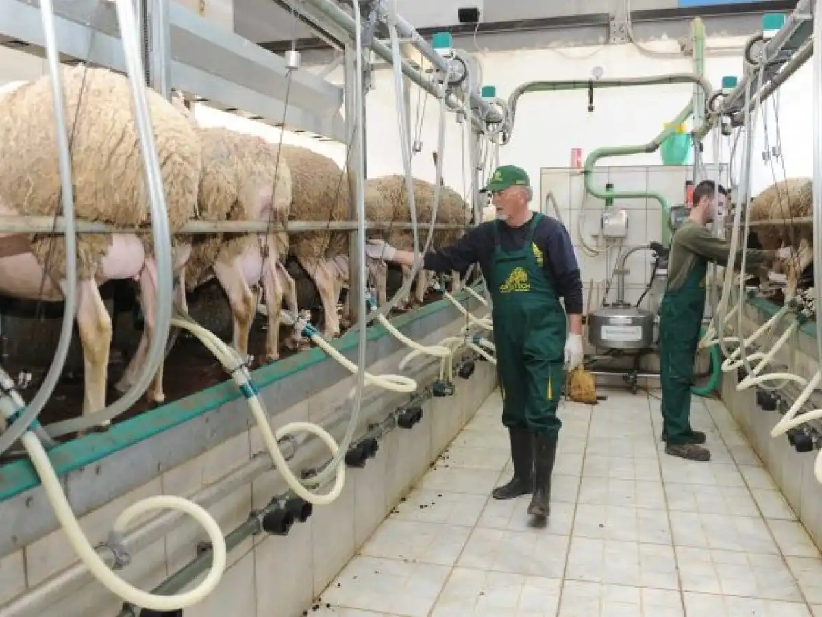 &Mu;&epsilon;ί&omega;&sigma;&eta; 40.000 &tau;ό&nu;&omega;&nu; &sigma;&tau;&omicron; &pi;&rho;ό&beta;&epsilon;&iota;&omicron; &gamma;ά&lambda;&alpha; &ndash; &Epsilon;&rho;&omega;&tau;ή&mu;&alpha;&tau;&alpha; &gamma;&iota;&alpha; &tau;&iota;&sigmaf; &epsilon;&pi;&iota;&pi;&tau;ώ&sigma;&epsilon;&iota;&sigmaf; &sigma;&tau;&omicron;&nu; &kappa;&lambda;ά&delta;&omicron; &bull; &Theta;&epsilon;&sigma;&sigma;&alpha;&lambda;&iota;&kappa;ή &Gamma;&eta; &bull; &Tau;&alpha; &Alpha;&gamma;&rho;&omicron;&tau;&iota;&kappa;ά &Nu;έ&alpha; &tau;&eta;&sigmaf; &Theta;&epsilon;&sigma;&sigma;&alpha;&lambda;ί&alpha;&sigmaf;