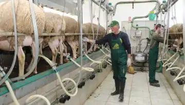 &Mu;&epsilon;ί&omega;&sigma;&eta; 40.000 &tau;ό&nu;&omega;&nu; &sigma;&tau;&omicron; &pi;&rho;ό&beta;&epsilon;&iota;&omicron; &gamma;ά&lambda;&alpha; &ndash; &Epsilon;&rho;&omega;&tau;ή&mu;&alpha;&tau;&alpha; &gamma;&iota;&alpha; &tau;&iota;&sigmaf; &epsilon;&pi;&iota;&pi;&tau;ώ&sigma;&epsilon;&iota;&sigmaf; &sigma;&tau;&omicron;&nu; &kappa;&lambda;ά&delta;&omicron; &bull; &Theta;&epsilon;&sigma;&sigma;&alpha;&lambda;&iota;&kappa;ή &Gamma;&eta; &bull; &Tau;&alpha; &Alpha;&gamma;&rho;&omicron;&tau;&iota;&kappa;ά &Nu;έ&alpha; &tau;&eta;&sigmaf; &Theta;&epsilon;&sigma;&sigma;&alpha;&lambda;ί&alpha;&sigmaf;