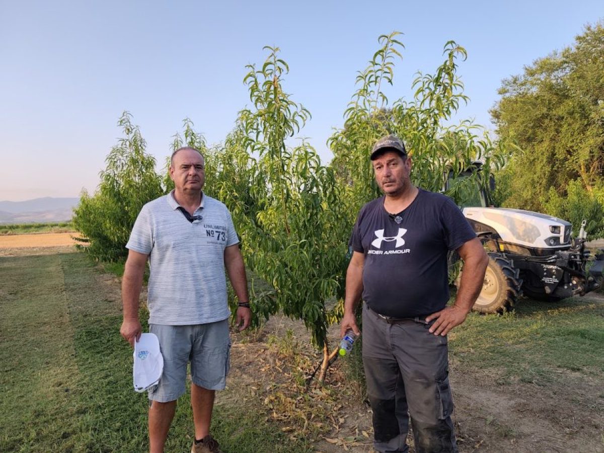Απόγνωση για τους ροδακινοπαραγωγούς στη Φαλάνη: Ο καπνώδης καταστρέφει τα δέντρα – Ζητούν κατ’ εξαίρεση έγκριση φυτοπροστατευτικού • Θεσσαλική Γη • Τα Αγροτικά Νέα της Θεσσαλίας