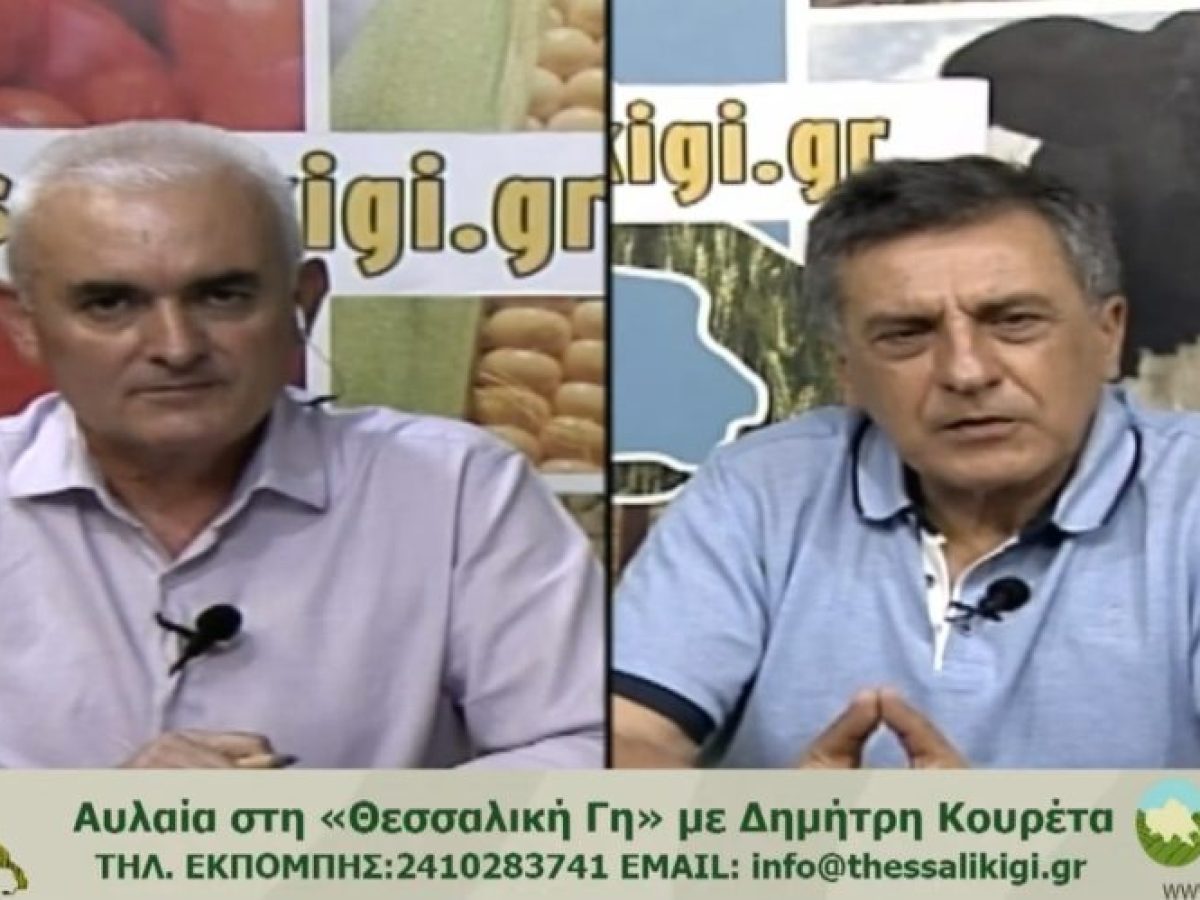 Κουρέτας: «Το βαμβάκι δεν πρέπει να χαθεί από τη Θεσσαλία – Χωρίς νερό δεν υπάρχει μέλλον για τις αρδευόμενες καλλιέργειες» (βίντεο) • Θεσσαλική Γη • Τα Αγροτικά Νέα της Θεσσαλίας