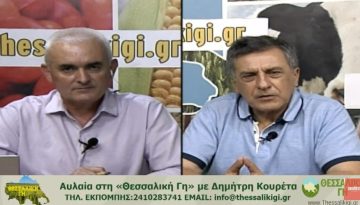 Κουρέτας: «Το βαμβάκι δεν πρέπει να χαθεί από τη Θεσσαλία – Χωρίς νερό δεν υπάρχει μέλλον για τις αρδευόμενες καλλιέργειες» (βίντεο) • Θεσσαλική Γη • Τα Αγροτικά Νέα της Θεσσαλίας