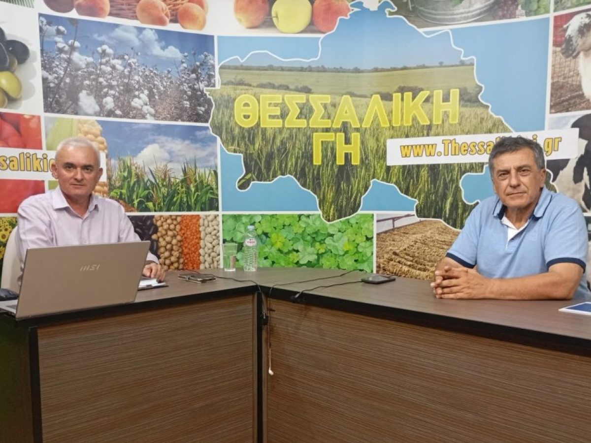 Ευλογιά αιγοπροβάτων: Ο Κουρέτας ζητά αλλαγή του ευρωπαϊκού κανονισμού για την ανασύσταση των κοπαδιών (βίντεο) • Θεσσαλική Γη • Τα Αγροτικά Νέα της Θεσσαλίας