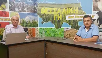 &Epsilon;&upsilon;&lambda;&omicron;&gamma;&iota;ά &alpha;&iota;&gamma;&omicron;&pi;&rho;&omicron;&beta;ά&tau;&omega;&nu;: &Omicron; &Kappa;&omicron;&upsilon;&rho;έ&tau;&alpha;&sigmaf; &zeta;&eta;&tau;ά &alpha;&lambda;&lambda;&alpha;&gamma;ή &tau;&omicron;&upsilon; &epsilon;&upsilon;&rho;&omega;&pi;&alpha;ϊ&kappa;&omicron;ύ &kappa;&alpha;&nu;&omicron;&nu;&iota;&sigma;&mu;&omicron;ύ &gamma;&iota;&alpha; &tau;&eta;&nu; &alpha;&nu;&alpha;&sigma;ύ&sigma;&tau;&alpha;&sigma;&eta; &tau;&omega;&nu; &kappa;&omicron;&pi;&alpha;&delta;&iota;ώ&nu; (&beta;ί&nu;&tau;&epsilon;&omicron;) &bull; &Theta;&epsilon;&sigma;&sigma;&alpha;&lambda;&iota;&kappa;ή &Gamma;&eta; &bull; &Tau;&alpha; &Alpha;&gamma;&rho;&omicron;&tau;&iota;&kappa;ά &Nu;έ&alpha; &tau;&eta;&sigmaf; &Theta;&epsilon;&sigma;&sigma;&alpha;&lambda;ί&alpha;&sigmaf;