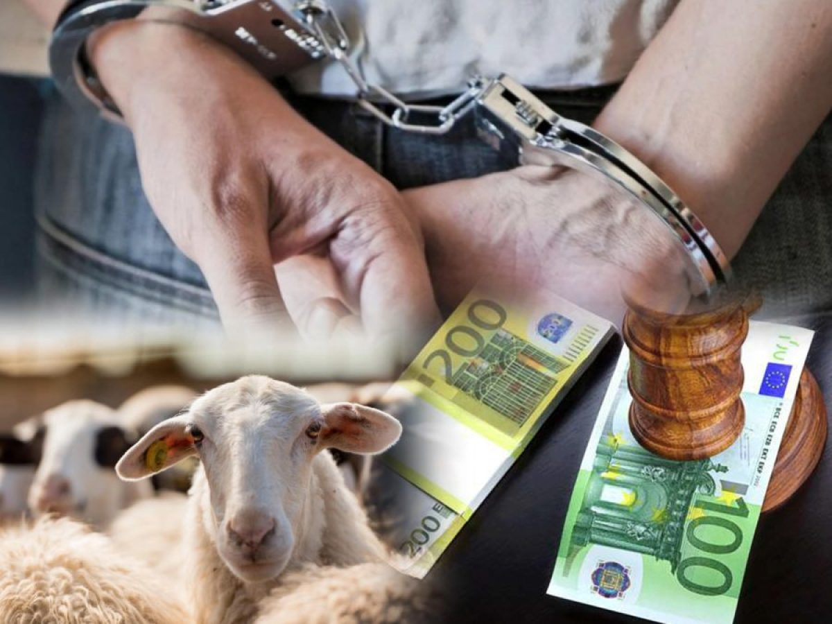 Χειροπέδες και εξοντωτικά πρόστιμα στους κτηνοτρόφους ενώ παραμένουν απλήρωτοι από επιδοτήσεις • Θεσσαλική Γη • Τα Αγροτικά Νέα της Θεσσαλίας