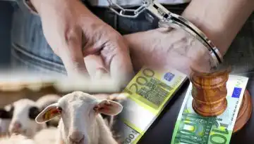 &Chi;&epsilon;&iota;&rho;&omicron;&pi;έ&delta;&epsilon;&sigmaf; &kappa;&alpha;&iota; &epsilon;&xi;&omicron;&nu;&tau;&omega;&tau;&iota;&kappa;ά &pi;&rho;ό&sigma;&tau;&iota;&mu;&alpha; &sigma;&tau;&omicron;&upsilon;&sigmaf; &kappa;&tau;&eta;&nu;&omicron;&tau;&rho;ό&phi;&omicron;&upsilon;&sigmaf; &epsilon;&nu;ώ &pi;&alpha;&rho;&alpha;&mu;έ&nu;&omicron;&upsilon;&nu; &alpha;&pi;&lambda;ή&rho;&omega;&tau;&omicron;&iota; &alpha;&pi;ό &epsilon;&pi;&iota;&delta;&omicron;&tau;ή&sigma;&epsilon;&iota;&sigmaf; &bull; &Theta;&epsilon;&sigma;&sigma;&alpha;&lambda;&iota;&kappa;ή &Gamma;&eta; &bull; &Tau;&alpha; &Alpha;&gamma;&rho;&omicron;&tau;&iota;&kappa;ά &Nu;έ&alpha; &tau;&eta;&sigmaf; &Theta;&epsilon;&sigma;&sigma;&alpha;&lambda;ί&alpha;&sigmaf;