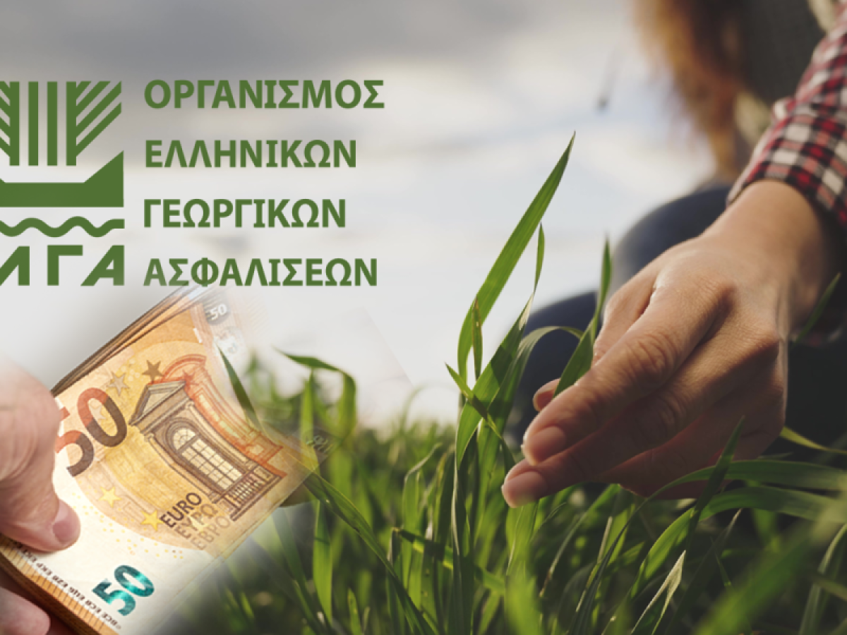 ΕΛΓΑ: Αποζημιώσεις ύψους 13,8 εκατ. ευρώ – Οι δικαιούχοι – Οικονομικός Ταχυδρόμος – ot.gr