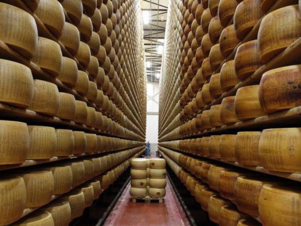 Παρμεζάνα: Πώς ο καύσωνας απειλεί την παραγωγή του διάσημου ιταλικού τυριού • Θεσσαλική Γη • Τα Αγροτικά Νέα της Θεσσαλίας