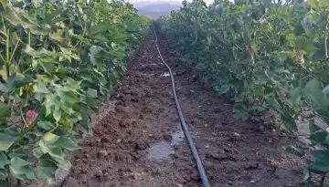 &Tau;&alpha; &nu;έ&alpha; &tau;&omicron;&upsilon; &beta;&alpha;&mu;&beta;&alpha;&kappa;&iota;&omicron;ύ &mu;&epsilon; &mu;&iota;&alpha; &mu;&alpha;&tau;&iota;ά: &Sigma;&tau;&alpha; 81,54 &sigma;&epsilon;&nu;&tau;&sigmaf; &tau;&omicron; &beta;&alpha;&mu;&beta;ά&kappa;&iota;, &mu;&epsilon; &tau;&eta;&nu; &kappa;&alpha;&lambda;ύ&tau;&epsilon;&rho;&eta; &epsilon;&beta;&delta;&omicron;&mu;ά&delta;&alpha; &tau;&omega;&nu; &tau;&epsilon;&lambda;&epsilon;&upsilon;&tau;&alpha;ί&omega;&nu; &mu;&eta;&nu;ώ&nu; &sigma;&tau;&omicron; &chi;&rho;&eta;&mu;&alpha;&tau;&iota;&sigma;&tau;ή&rho;&iota;&omicron; &bull; &Theta;&epsilon;&sigma;&sigma;&alpha;&lambda;&iota;&kappa;ή &Gamma;&eta; &bull; &Tau;&alpha; &Alpha;&gamma;&rho;&omicron;&tau;&iota;&kappa;ά &Nu;έ&alpha; &tau;&eta;&sigmaf; &Theta;&epsilon;&sigma;&sigma;&alpha;&lambda;ί&alpha;&sigmaf;