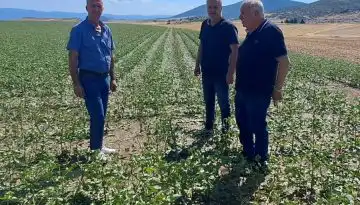 &Delta;&Omicron;&Beta;: Ά&mu;&epsilon;&sigma;&epsilon;&sigmaf; &pi;&alpha;&rho;&epsilon;&mu;&beta;ά&sigma;&epsilon;&iota;&sigmaf; &zeta;&eta;&tau;&omicron;ύ&nu; &omicron;&iota; &beta;&alpha;&mu;&beta;&alpha;&kappa;&omicron;&pi;&alpha;&rho;&alpha;&gamma;&omega;&gamma;&omicron;ί &mu;&epsilon;&tau;ά &tau;&iota;&sigmaf; &kappa;&alpha;&tau;&alpha;&sigma;&tau;&rho;&omicron;&phi;&iota;&kappa;έ&sigmaf; &chi;&alpha;&lambda;&alpha;&zeta;&omicron;&pi;&tau;ώ&sigma;&epsilon;&iota;&sigmaf; &bull; &Theta;&epsilon;&sigma;&sigma;&alpha;&lambda;&iota;&kappa;ή &Gamma;&eta; &bull; &Tau;&alpha; &Alpha;&gamma;&rho;&omicron;&tau;&iota;&kappa;ά &Nu;έ&alpha; &tau;&eta;&sigmaf; &Theta;&epsilon;&sigma;&sigma;&alpha;&lambda;ί&alpha;&sigmaf;