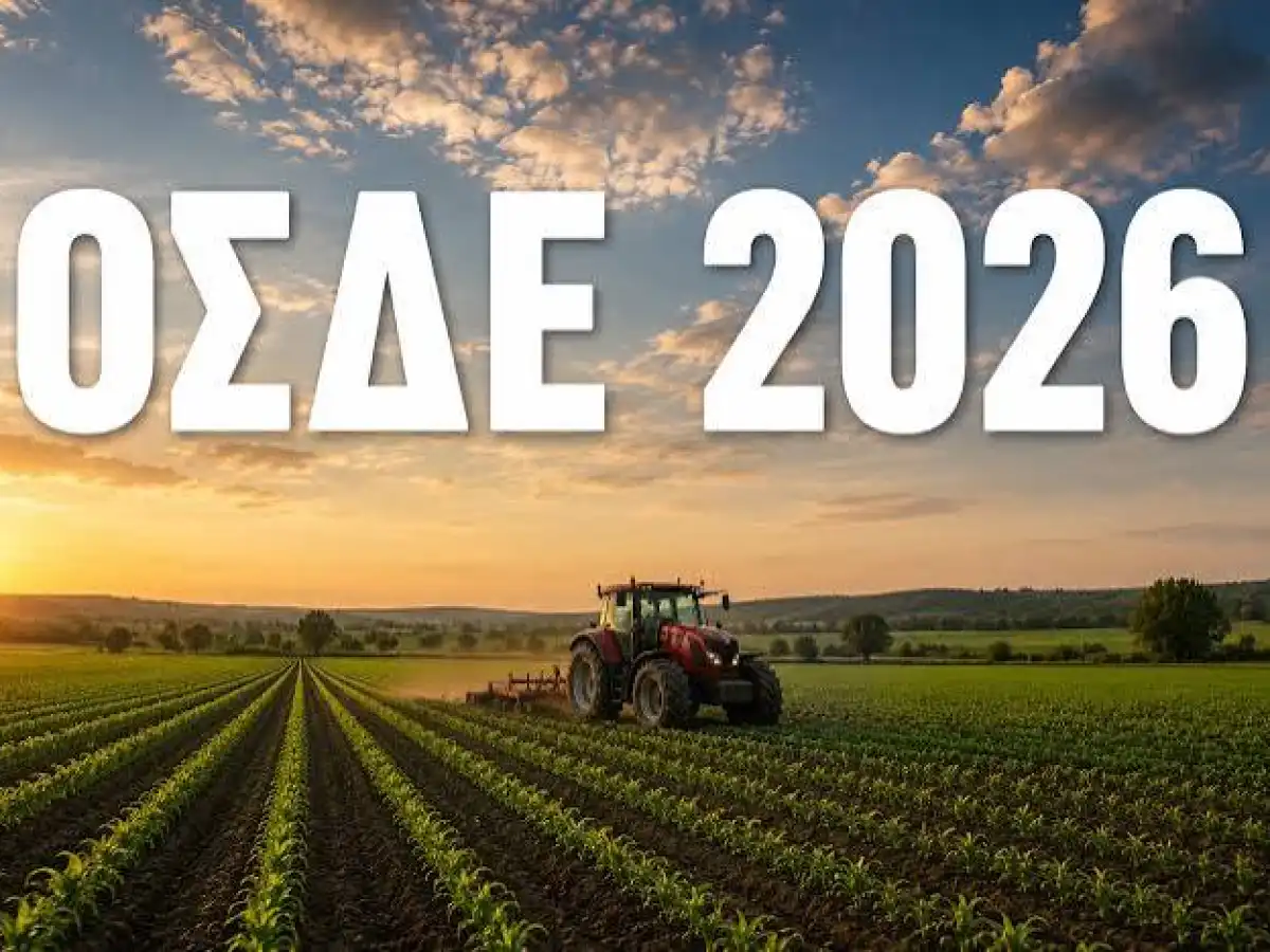 &Beta;&gamma;ή&kappa;&epsilon; &tau;&omicron; &Phi;&Epsilon;&Kappa; &tau;&omicron;&upsilon; &omicron;&sigma;&delta;&epsilon; 2026, &mu;έ&chi;&rho;&iota; 31/10 &eta; &pi;&rho;&omicron;&kappa;&alpha;&tau;&alpha;&beta;&omicron;&lambda;ή &epsilon;&nu;&iota;&sigma;&chi;ύ&sigma;&epsilon;&omega;&nu;, &mu;έ&chi;&rho;&iota; 15/9 &omicron;&iota; &alpha;&iota;&tau;ή&sigma;&epsilon;&iota;&sigmaf; | &Alpha;&gamma;&rho;&omicron;Έ&kappa;&phi;&rho;&alpha;&sigma;&eta;