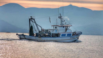 Έ&omega;&sigmaf; &tau;&iota;&sigmaf; 15 &Sigma;&epsilon;&pi;&tau;&epsilon;&mu;&beta;&rho;ί&omicron;&upsilon; &omicron;&iota; &alpha;&iota;&tau;ή&sigma;&epsilon;&iota;&sigmaf; &gamma;&iota;&alpha; &tau;&omicron; &pi;&rho;ό&gamma;&rho;&alpha;&mu;&mu;&alpha; &tau;&omega;&nu; 16 &epsilon;&kappa;&alpha;&tau;. &epsilon;&upsilon;&rho;ώ &gamma;&iota;&alpha; &epsilon;&pi;&epsilon;&nu;&delta;ύ&sigma;&epsilon;&iota;&sigmaf; &sigma;&tau;&alpha; &alpha;&lambda;&iota;&epsilon;&upsilon;&tau;&iota;&kappa;ά &sigma;&kappa;ά&phi;&eta; -&Epsilon;&nu;ί&sigma;&chi;&upsilon;&sigma;&eta; έ&omega;&sigmaf; 85% | &Alpha;&gamma;&rho;&omicron;Έ&kappa;&phi;&rho;&alpha;&sigma;&eta;