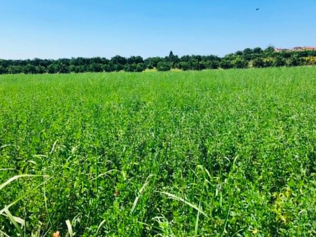 &Sigma;&epsilon; &Phi;&Epsilon;&Kappa; &lambda;&epsilon;&pi;&tau;&omicron;&mu;έ&rho;&epsilon;&iota;&epsilon;&sigmaf; &gamma;&iota;&alpha; &tau;&omicron; myAGRO &Alpha;&Alpha;&Delta;&Epsilon; &tau;&eta;&sigmaf; &Epsilon;&Alpha;&Epsilon;, &omega;&sigmaf; 16/10 &delta;&eta;&lambda;ώ&sigma;&epsilon;&iota;&sigmaf; &ndash; &pi;ό&tau;&epsilon; &theta;&alpha; &gamma;ί&nu;&omicron;&upsilon;&nu; &pi;&lambda;&eta;&rho;&omega;&mu;έ&sigmaf; | Agronewsbomb | &Epsilon;&iota;&delta;ή&sigma;&epsilon;&iota;&sigmaf; &kappa;&alpha;&iota; &nu;έ&alpha; &gamma;&iota;&alpha; &alpha;&gamma;&rho;ό&tau;&epsilon;&sigmaf; &kappa;&alpha;&iota; &kappa;&tau;&eta;&nu;&omicron;&tau;&rho;ό&phi;&omicron;&upsilon;&sigmaf;
