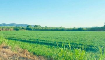 &Tau;&alpha;&mu;&epsilon;ί&omicron; &Alpha;&gamma;&rho;&omicron;&tau;&iota;&kappa;ή&sigmaf; &Epsilon;&pi;&iota;&chi;&epsilon;&iota;&rho;&eta;&mu;&alpha;&tau;&iota;&kappa;ό&tau;&eta;&tau;&alpha;&sigmaf;: &Chi;&rho;&eta;&mu;&alpha;&tau;&omicron;&delta;&omicron;&tau;ώ&nu;&tau;&alpha;&sigmaf; &tau;&omicron; &Mu;έ&lambda;&lambda;&omicron;&nu; &tau;&eta;&sigmaf; &Epsilon;&lambda;&lambda;&eta;&nu;&iota;&kappa;ή&sigmaf; &Gamma;&epsilon;&omega;&rho;&gamma;ί&alpha;&sigmaf; | Agronewsbomb | &Epsilon;&iota;&delta;ή&sigma;&epsilon;&iota;&sigmaf; &kappa;&alpha;&iota; &nu;έ&alpha; &gamma;&iota;&alpha; &alpha;&gamma;&rho;ό&tau;&epsilon;&sigmaf; &kappa;&alpha;&iota; &kappa;&tau;&eta;&nu;&omicron;&tau;&rho;ό&phi;&omicron;&upsilon;&sigmaf;