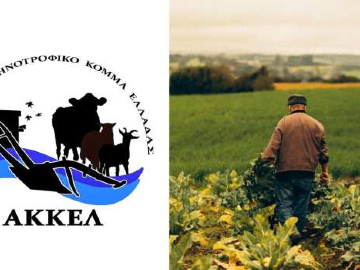 &Alpha;&Kappa;&Kappa;&Epsilon;&Lambda;: &Eta; &Epsilon;&lambda;&lambda;ά&delta;&alpha; &chi;ά&nu;&epsilon;&iota; &tau;&omicron;&upsilon;&sigmaf; &alpha;&gamma;&rho;ό&tau;&epsilon;&sigmaf; &tau;&eta;&sigmaf;, &eta; &epsilon;&gamma;&kappa;&alpha;&tau;ά&lambda;&epsilon;&iota;&psi;&eta; &tau;&omicron;&upsilon; &pi;&rho;&omega;&tau;&omicron;&gamma;&epsilon;&nu;&omicron;ύ&sigmaf; &tau;&omicron;&mu;έ&alpha; &epsilon;&pi;&iota;&tau;&alpha;&chi;ύ&nu;&epsilon;&tau;&alpha;&iota;