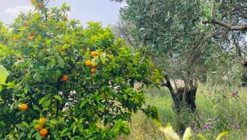 &Alpha;&xi;&iota;&omicron;&lambda;&omicron;&gamma;&eta;&tau;έ&sigmaf; &kappa;&alpha;&iota; &epsilon;&pi;&iota;&tau;&rho;&omicron;&pi;έ&sigmaf; &epsilon;&nu;&sigma;&tau;ά&sigma;&epsilon;&omega;&nu; &tau;&omega;&nu; &alpha;&iota;&tau;ή&sigma;&epsilon;&omega;&nu; &gamma;&iota;&alpha; &tau;&omicron; &pi;&rho;ό&gamma;&rho;&alpha;&mu;&mu;&alpha; &nu;έ&omega;&nu; &gamma;&epsilon;&omega;&rho;&gamma;ώ&nu; | Agronewsbomb | &Epsilon;&iota;&delta;ή&sigma;&epsilon;&iota;&sigmaf; &kappa;&alpha;&iota; &nu;έ&alpha; &gamma;&iota;&alpha; &alpha;&gamma;&rho;ό&tau;&epsilon;&sigmaf; &kappa;&alpha;&iota; &kappa;&tau;&eta;&nu;&omicron;&tau;&rho;ό&phi;&omicron;&upsilon;&sigmaf;