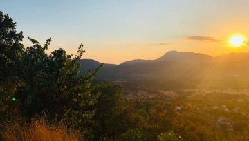 60,36 &epsilon;&kappa;. &epsilon;&upsilon;&rho;ώ &gamma;&iota;&alpha; &pi;&rho;&omicron;&sigma;&tau;&alpha;&sigma;ί&alpha;-&alpha;&pi;&omicron;&kappa;&alpha;&tau;ά&sigma;&tau;&alpha;&sigma;&eta; &delta;&alpha;&sigma;ώ&nu;, &pi;&omicron;&iota;&omicron;&iota; &mu;&pi;&omicron;&rho;&omicron;ύ&nu; &nu;&alpha; &upsilon;&pi;&omicron;&beta;ά&lambda;&omicron;&upsilon;&nu; &pi;&rho;&omicron;&tau;ά&sigma;&epsilon;&iota;&sigmaf; &kappa;&alpha;&iota; &tau;&iota; &chi;&rho;&eta;&mu;&alpha;&tau;&omicron;&delta;&omicron;&tau;&epsilon;ί&tau;&alpha;&iota; | Agronewsbomb | &Epsilon;&iota;&delta;ή&sigma;&epsilon;&iota;&sigmaf; &kappa;&alpha;&iota; &nu;έ&alpha; &gamma;&iota;&alpha; &alpha;&gamma;&rho;ό&tau;&epsilon;&sigmaf; &kappa;&alpha;&iota; &kappa;&tau;&eta;&nu;&omicron;&tau;&rho;ό&phi;&omicron;&upsilon;&sigmaf;