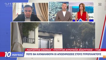 &Mu;&alpha;&rho;&gamma;&alpha;&rho;ί&tau;&eta;&sigmaf; &Sigma;&chi;&omicron;&iota;&nu;ά&sigmaf;: &Mu;έ&chi;&rho;&iota; &tau;&omicron; &tau;έ&lambda;&omicron;&sigmaf; &tau;&omicron;&upsilon; έ&tau;&omicron;&upsilon;&sigmaf; &theta;&alpha; &pi;&lambda;&eta;&rho;ώ&sigma;&omicron;&upsilon;&mu;&epsilon; 1,1 &delta;&iota;&sigmaf; &epsilon;&upsilon;&rho;ώ | Agronewsbomb | &Epsilon;&iota;&delta;ή&sigma;&epsilon;&iota;&sigmaf; &kappa;&alpha;&iota; &nu;έ&alpha; &gamma;&iota;&alpha; &alpha;&gamma;&rho;ό&tau;&epsilon;&sigmaf; &kappa;&alpha;&iota; &kappa;&tau;&eta;&nu;&omicron;&tau;&rho;ό&phi;&omicron;&upsilon;&sigmaf;