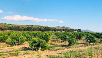 &Pi;&rho;&omicron;&sigmaf; &nu;έ&alpha; &pi;&alpha;&rho;ά&tau;&alpha;&sigma;&eta; &epsilon;&pi;&iota;&delta;ό&tau;&eta;&sigma;&eta;&sigmaf; &gamma;&iota;&alpha; diesel &kappa;ί&nu;&eta;&sigma;&eta;&sigmaf; | Agronewsbomb | &Epsilon;&iota;&delta;ή&sigma;&epsilon;&iota;&sigmaf; &kappa;&alpha;&iota; &nu;έ&alpha; &gamma;&iota;&alpha; &alpha;&gamma;&rho;ό&tau;&epsilon;&sigmaf; &kappa;&alpha;&iota; &kappa;&tau;&eta;&nu;&omicron;&tau;&rho;ό&phi;&omicron;&upsilon;&sigmaf;