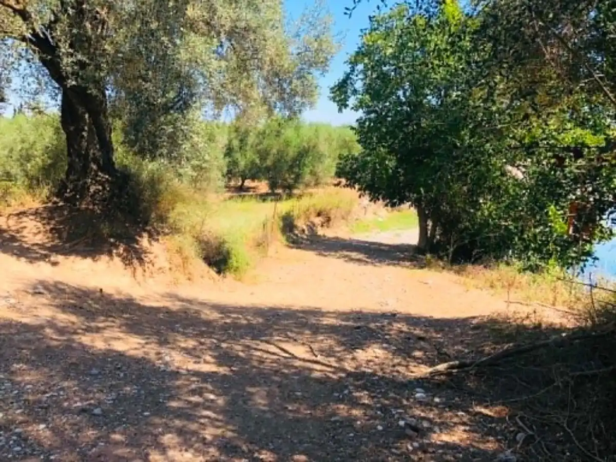 &Delta;&eta;&mu;ό&sigma;&iota;&alpha; &delta;&iota;&alpha;&beta;&omicron;ύ&lambda;&epsilon;&upsilon;&sigma;&eta; &tau;&eta;&sigmaf; &Epsilon;&upsilon;&rho;&omega;&pi;&alpha;ϊ&kappa;ή&sigmaf; &Epsilon;&pi;&iota;&tau;&rho;&omicron;&pi;ή&sigmaf; &gamma;&iota;&alpha; &tau;&iota;&sigmaf; &kappa;&rho;&alpha;&tau;&iota;&kappa;έ&sigmaf; &epsilon;&nu;&iota;&sigma;&chi;ύ&sigma;&epsilon;&iota;&sigmaf; | Agronewsbomb | &Epsilon;&iota;&delta;ή&sigma;&epsilon;&iota;&sigmaf; &kappa;&alpha;&iota; &nu;έ&alpha; &gamma;&iota;&alpha; &alpha;&gamma;&rho;ό&tau;&epsilon;&sigmaf; &kappa;&alpha;&iota; &kappa;&tau;&eta;&nu;&omicron;&tau;&rho;ό&phi;&omicron;&upsilon;&sigmaf;