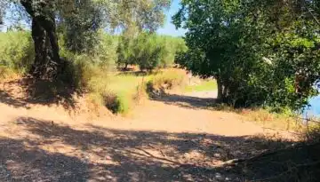 &Delta;&eta;&mu;ό&sigma;&iota;&alpha; &delta;&iota;&alpha;&beta;&omicron;ύ&lambda;&epsilon;&upsilon;&sigma;&eta; &tau;&eta;&sigmaf; &Epsilon;&upsilon;&rho;&omega;&pi;&alpha;ϊ&kappa;ή&sigmaf; &Epsilon;&pi;&iota;&tau;&rho;&omicron;&pi;ή&sigmaf; &gamma;&iota;&alpha; &tau;&iota;&sigmaf; &kappa;&rho;&alpha;&tau;&iota;&kappa;έ&sigmaf; &epsilon;&nu;&iota;&sigma;&chi;ύ&sigma;&epsilon;&iota;&sigmaf; | Agronewsbomb | &Epsilon;&iota;&delta;ή&sigma;&epsilon;&iota;&sigmaf; &kappa;&alpha;&iota; &nu;έ&alpha; &gamma;&iota;&alpha; &alpha;&gamma;&rho;ό&tau;&epsilon;&sigmaf; &kappa;&alpha;&iota; &kappa;&tau;&eta;&nu;&omicron;&tau;&rho;ό&phi;&omicron;&upsilon;&sigmaf;