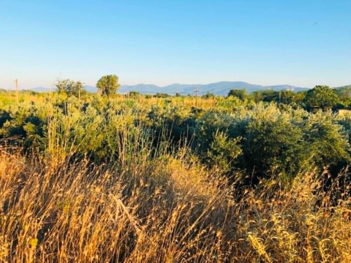 Έ&rho;&chi;&epsilon;&tau;&alpha;&iota; &eta; &pi;&rho;ό&sigma;&kappa;&lambda;&eta;&sigma;&eta; &gamma;&iota;&alpha; &tau;&eta;&nu; &epsilon;&xi;&iota;&sigma;&omega;&tau;&iota;&kappa;ή &alpha;&pi;&omicron;&zeta;&eta;&mu;ί&omega;&sigma;&eta;, &omicron;&iota; &delta;&iota;&kappa;&alpha;&iota;&omicron;ύ&chi;&omicron;&iota; | Agronewsbomb | &Epsilon;&iota;&delta;ή&sigma;&epsilon;&iota;&sigmaf; &kappa;&alpha;&iota; &nu;έ&alpha; &gamma;&iota;&alpha; &alpha;&gamma;&rho;ό&tau;&epsilon;&sigmaf; &kappa;&alpha;&iota; &kappa;&tau;&eta;&nu;&omicron;&tau;&rho;ό&phi;&omicron;&upsilon;&sigmaf;