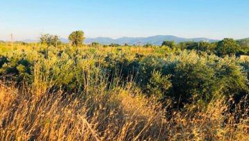 Έ&rho;&chi;&epsilon;&tau;&alpha;&iota; &eta; &pi;&rho;ό&sigma;&kappa;&lambda;&eta;&sigma;&eta; &gamma;&iota;&alpha; &tau;&eta;&nu; &epsilon;&xi;&iota;&sigma;&omega;&tau;&iota;&kappa;ή &alpha;&pi;&omicron;&zeta;&eta;&mu;ί&omega;&sigma;&eta;, &omicron;&iota; &delta;&iota;&kappa;&alpha;&iota;&omicron;ύ&chi;&omicron;&iota; | Agronewsbomb | &Epsilon;&iota;&delta;ή&sigma;&epsilon;&iota;&sigmaf; &kappa;&alpha;&iota; &nu;έ&alpha; &gamma;&iota;&alpha; &alpha;&gamma;&rho;ό&tau;&epsilon;&sigmaf; &kappa;&alpha;&iota; &kappa;&tau;&eta;&nu;&omicron;&tau;&rho;ό&phi;&omicron;&upsilon;&sigmaf;