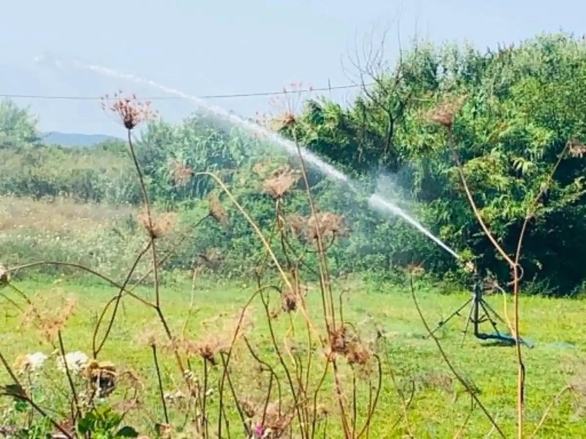 &Pi;ώ&sigmaf; &theta;&alpha; &gamma;ί&nu;&omicron;&nu;&tau;&alpha;&iota; &pi;&lambda;&eta;&rho;&omega;&mu;έ&sigmaf; &mu;&epsilon;&gamma;ά&lambda;&omega;&nu; &alpha;&rho;&delta;&epsilon;&upsilon;&tau;&iota;&kappa;ώ&nu; έ&rho;&gamma;&omega;&nu;, ό&lambda;&epsilon;&sigmaf; &omicron;&iota; &alpha;&lambda;&lambda;&alpha;&gamma;έ&sigmaf; | Agronewsbomb | &Epsilon;&iota;&delta;ή&sigma;&epsilon;&iota;&sigmaf; &kappa;&alpha;&iota; &nu;έ&alpha; &gamma;&iota;&alpha; &alpha;&gamma;&rho;ό&tau;&epsilon;&sigmaf; &kappa;&alpha;&iota; &kappa;&tau;&eta;&nu;&omicron;&tau;&rho;ό&phi;&omicron;&upsilon;&sigmaf;