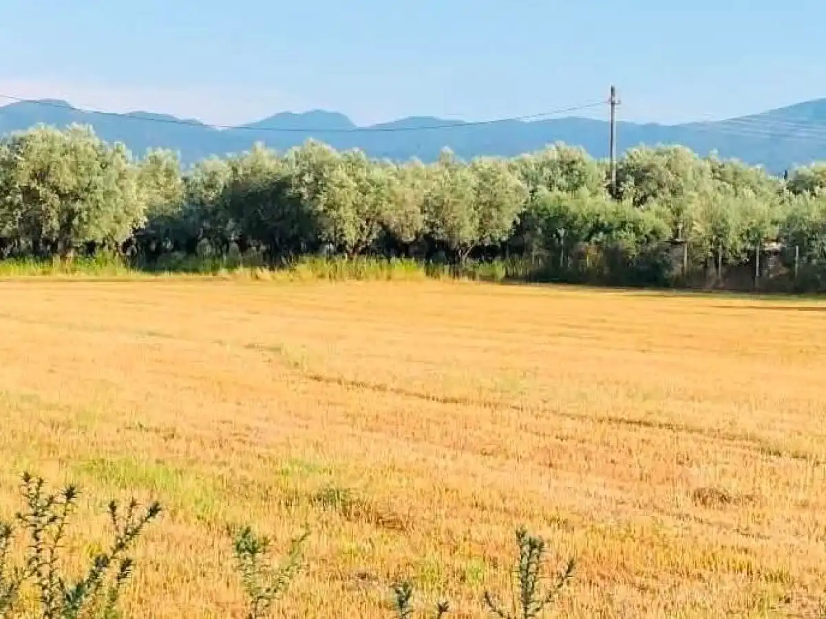 &Kappa;&alpha;&nu;&alpha;&delta;ά&sigmaf;: &Pi;&rho;&omicron;&beta;&lambda;έ&psi;&epsilon;&iota;&sigmaf; &gamma;&iota;&alpha; &chi;&alpha;&mu;&eta;&lambda;ό&tau;&epsilon;&rho;&eta; &pi;&alpha;&rho;&alpha;&gamma;&omega;&gamma;ή &sigma;&iota;&tau;&alpha;&rho;&iota;&omicron;ύ, &alpha;&lambda;&lambda;ά &alpha;&upsilon;&xi;&eta;&mu;έ&nu;&epsilon;&sigmaf; &sigma;&tau;&rho;&epsilon;&mu;&mu;&alpha;&tau;&iota;&kappa;έ&sigmaf; &alpha;&pi;&omicron;&delta;ό&sigma;&epsilon;&iota;&sigmaf; | Agronewsbomb | &Epsilon;&iota;&delta;ή&sigma;&epsilon;&iota;&sigmaf; &kappa;&alpha;&iota; &nu;έ&alpha; &gamma;&iota;&alpha; &alpha;&gamma;&rho;ό&tau;&epsilon;&sigmaf; &kappa;&alpha;&iota; &kappa;&tau;&eta;&nu;&omicron;&tau;&rho;ό&phi;&omicron;&upsilon;&sigmaf;