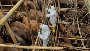 &Alpha;&phi;&theta;ώ&delta;&eta;&sigmaf; &pi;&upsilon;&rho;&epsilon;&tau;ό&sigmaf;: 7,4 &epsilon;&kappa;&alpha;&tau;. &epsilon;&upsilon;&rho;ώ &sigma;&tau;ή&rho;&iota;&xi;&eta;&sigmaf; &sigma;&tau;&eta; &Lambda;έ&sigma;&beta;&omicron;
