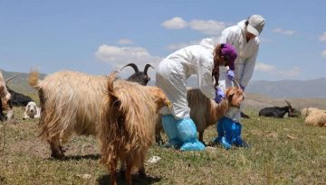 &Pi;ά&nu;&omega; &alpha;&pi;ό 7 &epsilon;&kappa;&alpha;&tau;. &epsilon;&upsilon;&rho;ώ &sigma;&tau;ή&rho;&iota;&xi;&eta; &sigma;&epsilon; &kappa;&tau;&eta;&nu;&omicron;&tau;&rho;ό&phi;&omicron;&upsilon;&sigmaf; &kappa;&alpha;&iota; &tau;&upsilon;&rho;&omicron;&kappa;&omicron;&mu;&epsilon;ί&alpha; &gamma;&iota;&alpha; &tau;&omicron;&nu; &alpha;&phi;&theta;ώ&delta;&eta; &pi;&upsilon;&rho;&epsilon;&tau;ό &sigma;&tau;&eta; &Lambda;έ&sigma;&beta;&omicron; &bull; &Theta;&epsilon;&sigma;&sigma;&alpha;&lambda;&iota;&kappa;ή &Gamma;&eta; &bull; &Tau;&alpha; &Alpha;&gamma;&rho;&omicron;&tau;&iota;&kappa;ά &Nu;έ&alpha; &tau;&eta;&sigmaf; &Theta;&epsilon;&sigma;&sigma;&alpha;&lambda;ί&alpha;&sigmaf;