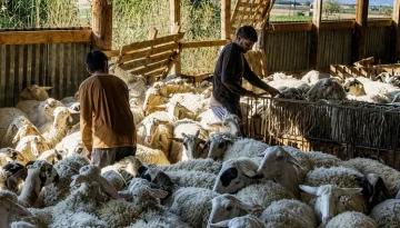 &Alpha;&chi;&alpha;ΐ&alpha;: &Pi;&lambda;&eta;&rho;ώ&theta;&eta;&kappa;&alpha;&nu; &omicron;&iota; &kappa;&tau;&eta;&nu;&omicron;&tau;&rho;ό&phi;&omicron;&iota; &gamma;&iota;&alpha; &tau;&eta;&nu; &epsilon;&upsilon;&lambda;&omicron;&gamma;&iota;ά &ndash; Έ&rho;&chi;&epsilon;&tau;&alpha;&iota; &kappa;&alpha;&iota; &tau;&omicron; &Epsilon;&pi;ί&delta;&omicron;&mu;&alpha; &Delta;&iota;&alpha;&beta;ί&omega;&sigma;&eta;&sigmaf; | &Epsilon;&iota;&delta;ή&sigma;&epsilon;&iota;&sigmaf;