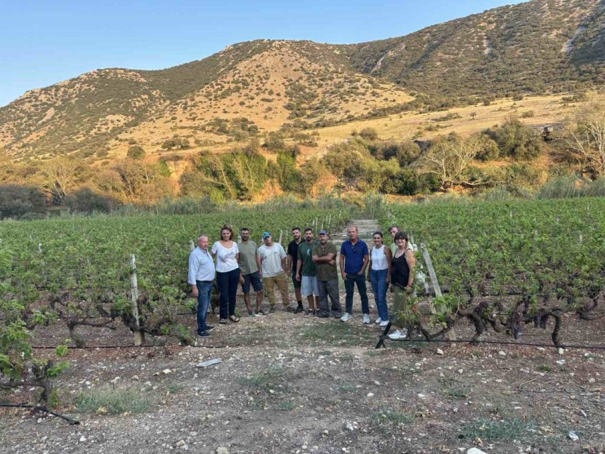 &Alpha;&upsilon;&tau;&omicron;&psi;ί&alpha; &sigma;&tau;&omicron;&upsilon;&sigmaf; &chi;&alpha;&lambda;&alpha;&zeta;ό&pi;&lambda;&eta;&kappa;&tau;&omicron;&upsilon;&sigmaf; &alpha;&mu;&pi;&epsilon;&lambda;ώ&nu;&epsilon;&sigmaf; &tau;&omicron;&upsilon; &delta;ή&mu;&omicron;&upsilon; &Tau;&upsilon;&rho;&nu;ά&beta;&omicron;&upsilon; &alpha;&pi;ό &tau;&omicron; &Gamma;&epsilon;&omega;&pi;&omicron;&nu;&iota;&kappa;ό &Pi;&alpha;&nu;&epsilon;&pi;&iota;&sigma;&tau;ή&mu;&iota;&omicron; &bull; &Theta;&epsilon;&sigma;&sigma;&alpha;&lambda;&iota;&kappa;ή &Gamma;&eta; &bull; &Tau;&alpha; &Alpha;&gamma;&rho;&omicron;&tau;&iota;&kappa;ά &Nu;έ&alpha; &tau;&eta;&sigmaf; &Theta;&epsilon;&sigma;&sigma;&alpha;&lambda;ί&alpha;&sigmaf;