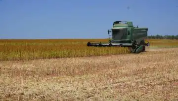 &Rho;&omicron;&delta;ό&pi;&eta;: &laquo;&Delta;&epsilon;&nu; &phi;&alpha;&nu;&tau;&alpha;&zeta;ό&mu;&omicron;&upsilon;&nu; ό&tau;&iota; &theta;&alpha; &mu;&pi;&omicron;&rho;&omicron;ύ&sigma;&alpha; &nu;&alpha; &kappa;&alpha;&lambda;&lambda;&iota;&epsilon;&rho;&gamma;ή&sigma;&omega; &chi;&omega;&rho;ί&sigmaf; &alpha;&gamma;&rho;&omicron;&chi;&eta;&mu;&iota;&kappa;ά&raquo;