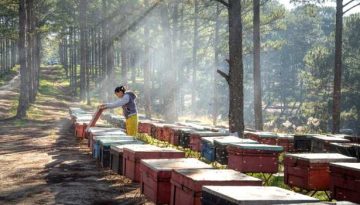 &Upsilon;&pi;&omicron;&beta;&omicron;&lambda;ή &delta;ή&lambda;&omega;&sigma;&eta;&sigmaf; &kappa;&alpha;&tau;&epsilon;&chi;ό&mu;&epsilon;&nu;&omega;&nu; &kappa;&upsilon;&psi;&epsilon;&lambda;ώ&nu; &ndash; &Pi;&omicron;&iota;&alpha; &eta; &kappa;&alpha;&tau;&alpha;&lambda;&eta;&kappa;&tau;&iota;&kappa;ή &eta;&mu;&epsilon;&rho;&omicron;&mu;&eta;&nu;ί&alpha;