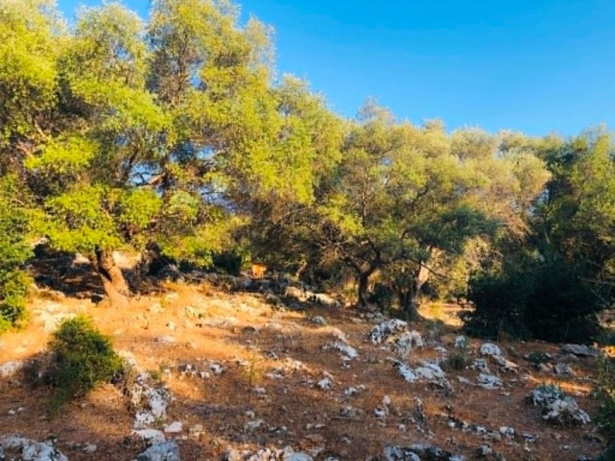 &Epsilon;&nu;&iota;&sigma;&chi;ύ&sigma;&epsilon;&iota;&sigmaf; &gamma;&iota;&alpha; &pi;&rho;&omicron;&sigma;&tau;&alpha;&sigma;ί&alpha; &alpha;&gamma;&rho;&omicron;&tau;&iota;&kappa;&omicron;ύ &tau;&omicron;&pi;ί&omicron;&upsilon;: &Phi;&theta;&iota;&nu;ό&pi;&omega;&rho;&omicron; &eta; &pi;&rho;ό&sigma;&kappa;&lambda;&eta;&sigma;&eta; &epsilon;&kappa;&delta;ή&lambda;&omega;&sigma;&eta;&sigmaf; &epsilon;&nu;&delta;&iota;&alpha;&phi;έ&rho;&omicron;&nu;&tau;&omicron;&sigmaf; | Agronewsbomb | &Epsilon;&iota;&delta;ή&sigma;&epsilon;&iota;&sigmaf; &kappa;&alpha;&iota; &nu;έ&alpha; &gamma;&iota;&alpha; &alpha;&gamma;&rho;ό&tau;&epsilon;&sigmaf; &kappa;&alpha;&iota; &kappa;&tau;&eta;&nu;&omicron;&tau;&rho;ό&phi;&omicron;&upsilon;&sigmaf;
