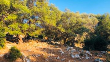 &Epsilon;&nu;&iota;&sigma;&chi;ύ&sigma;&epsilon;&iota;&sigmaf; &gamma;&iota;&alpha; &pi;&rho;&omicron;&sigma;&tau;&alpha;&sigma;ί&alpha; &alpha;&gamma;&rho;&omicron;&tau;&iota;&kappa;&omicron;ύ &tau;&omicron;&pi;ί&omicron;&upsilon;: &Phi;&theta;&iota;&nu;ό&pi;&omega;&rho;&omicron; &eta; &pi;&rho;ό&sigma;&kappa;&lambda;&eta;&sigma;&eta; &epsilon;&kappa;&delta;ή&lambda;&omega;&sigma;&eta;&sigmaf; &epsilon;&nu;&delta;&iota;&alpha;&phi;έ&rho;&omicron;&nu;&tau;&omicron;&sigmaf; | Agronewsbomb | &Epsilon;&iota;&delta;ή&sigma;&epsilon;&iota;&sigmaf; &kappa;&alpha;&iota; &nu;έ&alpha; &gamma;&iota;&alpha; &alpha;&gamma;&rho;ό&tau;&epsilon;&sigmaf; &kappa;&alpha;&iota; &kappa;&tau;&eta;&nu;&omicron;&tau;&rho;ό&phi;&omicron;&upsilon;&sigmaf;