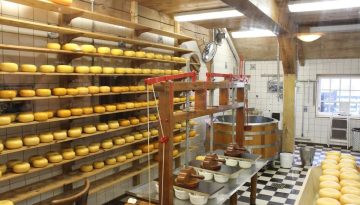 &Alpha;&phi;&theta;ώ&delta;&eta;&sigmaf; &pi;&upsilon;&rho;&epsilon;&tau;ό&sigmaf;: &Pi;&alpha;&kappa;έ&tau;&omicron; &sigma;&tau;ή&rho;&iota;&xi;&eta;&sigmaf; &gamma;&iota;&alpha; &tau;&eta;&nu; &kappa;&tau;&eta;&nu;&omicron;&tau;&rho;&omicron;&phi;ί&alpha; &kappa;&alpha;&iota; &tau;&eta;&nu; &tau;&upsilon;&rho;&omicron;&kappa;&omicron;&mu;ί&alpha; &tau;&eta;&sigmaf; &Lambda;έ&sigma;&beta;&omicron;&upsilon; &ndash; &Omicron;&iota;&kappa;&omicron;&nu;&omicron;&mu;&iota;&kappa;ό&sigmaf; &Tau;&alpha;&chi;&upsilon;&delta;&rho;ό&mu;&omicron;&sigmaf; &ndash; ot.gr