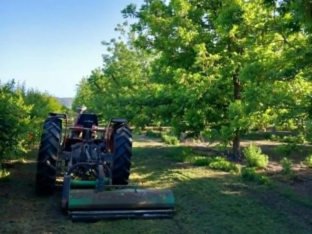 &Tau;&omicron; &pi;&epsilon;&kappa;ά&nu; &alpha;&pi;ό &tau;&omicron;&nu; &kappa;ά&mu;&pi;&omicron; &Lambda;&epsilon;&sigma;&iota;&nu;ί&omicron;&upsilon; &kappa;&epsilon;&rho;&delta;ί&zeta;&epsilon;&iota; &tau;&eta;&nu; &pi;&rho;&omicron;&tau;ί&mu;&eta;&sigma;&eta; &tau;&omicron;&upsilon; &kappa;&alpha;&tau;&alpha;&nu;&alpha;&lambda;&omega;&tau;ή &sigma;&epsilon; &Epsilon;&lambda;&lambda;ά&delta;&alpha; &kappa;&alpha;&iota; &epsilon;&xi;&omega;&tau;&epsilon;&rho;&iota;&kappa;ό | Agronewsbomb | &Epsilon;&iota;&delta;ή&sigma;&epsilon;&iota;&sigmaf; &kappa;&alpha;&iota; &nu;έ&alpha; &gamma;&iota;&alpha; &alpha;&gamma;&rho;ό&tau;&epsilon;&sigmaf; &kappa;&alpha;&iota; &kappa;&tau;&eta;&nu;&omicron;&tau;&rho;ό&phi;&omicron;&upsilon;&sigmaf;