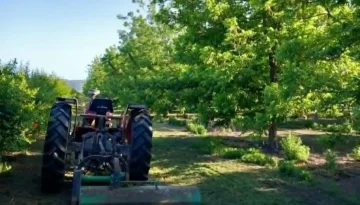 &Tau;&omicron; &pi;&epsilon;&kappa;ά&nu; &alpha;&pi;ό &tau;&omicron;&nu; &kappa;ά&mu;&pi;&omicron; &Lambda;&epsilon;&sigma;&iota;&nu;ί&omicron;&upsilon; &kappa;&epsilon;&rho;&delta;ί&zeta;&epsilon;&iota; &tau;&eta;&nu; &pi;&rho;&omicron;&tau;ί&mu;&eta;&sigma;&eta; &tau;&omicron;&upsilon; &kappa;&alpha;&tau;&alpha;&nu;&alpha;&lambda;&omega;&tau;ή &sigma;&epsilon; &Epsilon;&lambda;&lambda;ά&delta;&alpha; &kappa;&alpha;&iota; &epsilon;&xi;&omega;&tau;&epsilon;&rho;&iota;&kappa;ό | Agronewsbomb | &Epsilon;&iota;&delta;ή&sigma;&epsilon;&iota;&sigmaf; &kappa;&alpha;&iota; &nu;έ&alpha; &gamma;&iota;&alpha; &alpha;&gamma;&rho;ό&tau;&epsilon;&sigmaf; &kappa;&alpha;&iota; &kappa;&tau;&eta;&nu;&omicron;&tau;&rho;ό&phi;&omicron;&upsilon;&sigmaf;