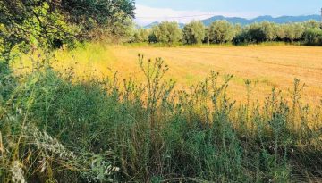 &Delta;&eta;&mu;&omicron;&sigma;&iota;&epsilon;ύ&tau;&eta;&kappa;&epsilon; &eta; &pi;&rho;ό&sigma;&kappa;&lambda;&eta;&sigma;&eta; &gamma;&iota;&alpha; &tau;&eta;&nu; &epsilon;&xi;&iota;&sigma;&omega;&tau;&iota;&kappa;ή &alpha;&pi;&omicron;&zeta;&eta;&mu;ί&omega;&sigma;&eta;, &pi;&omicron;&sigma;ά &kappa;&alpha;&iota; &delta;&iota;&kappa;&alpha;&iota;&omicron;ύ&chi;&omicron;&iota; | Agronewsbomb | &Epsilon;&iota;&delta;ή&sigma;&epsilon;&iota;&sigmaf; &kappa;&alpha;&iota; &nu;έ&alpha; &gamma;&iota;&alpha; &alpha;&gamma;&rho;ό&tau;&epsilon;&sigmaf; &kappa;&alpha;&iota; &kappa;&tau;&eta;&nu;&omicron;&tau;&rho;ό&phi;&omicron;&upsilon;&sigmaf;