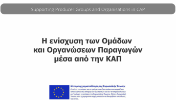 4&omicron; &beta;ί&nu;&tau;&epsilon;&omicron; CAP4YOU: &Eta; &epsilon;&nu;ί&sigma;&chi;&upsilon;&sigma;&eta; &tau;&omega;&nu; &omicron;&mu;ά&delta;&omega;&nu; &kappa;&alpha;&iota; &omicron;&rho;&gamma;&alpha;&nu;ώ&sigma;&epsilon;&omega;&nu; &pi;&alpha;&rho;&alpha;&gamma;&omega;&gamma;ώ&nu; &mu;έ&sigma;&alpha; &alpha;&pi;ό &tau;&eta;&nu; &Kappa;&Alpha;&Pi; | Agronewsbomb | &Epsilon;&iota;&delta;ή&sigma;&epsilon;&iota;&sigmaf; &kappa;&alpha;&iota; &nu;έ&alpha; &gamma;&iota;&alpha; &alpha;&gamma;&rho;ό&tau;&epsilon;&sigmaf; &kappa;&alpha;&iota; &kappa;&tau;&eta;&nu;&omicron;&tau;&rho;ό&phi;&omicron;&upsilon;&sigmaf;