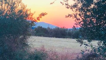 &Sigma;&upsilon;&nu;ά&nu;&tau;&eta;&sigma;&eta; &Kappa;&Upsilon;&Delta; &sigma;&tau;&eta;&nu; &Kappa;&rho;ή&tau;&eta;: &Kappa;ί&nu;&delta;&upsilon;&nu;&omicron;&sigmaf; &gamma;&iota;&alpha; &alpha;&pi;ώ&lambda;&epsilon;&iota;&alpha; &epsilon;&pi;&iota;&delta;&omicron;&tau;ή&sigma;&epsilon;&omega;&nu; &kappa;&alpha;&iota; &pi;&rho;&omicron;&gamma;&rho;&alpha;&mu;&mu;ά&tau;&omega;&nu; | Agronewsbomb | &Epsilon;&iota;&delta;ή&sigma;&epsilon;&iota;&sigmaf; &kappa;&alpha;&iota; &nu;έ&alpha; &gamma;&iota;&alpha; &alpha;&gamma;&rho;ό&tau;&epsilon;&sigmaf; &kappa;&alpha;&iota; &kappa;&tau;&eta;&nu;&omicron;&tau;&rho;ό&phi;&omicron;&upsilon;&sigmaf;